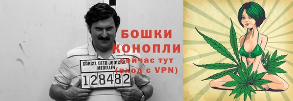 spice Алексин