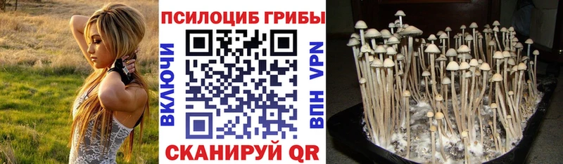 Галлюциногенные грибы ЛСД  где можно купить наркотик  Чернушка 