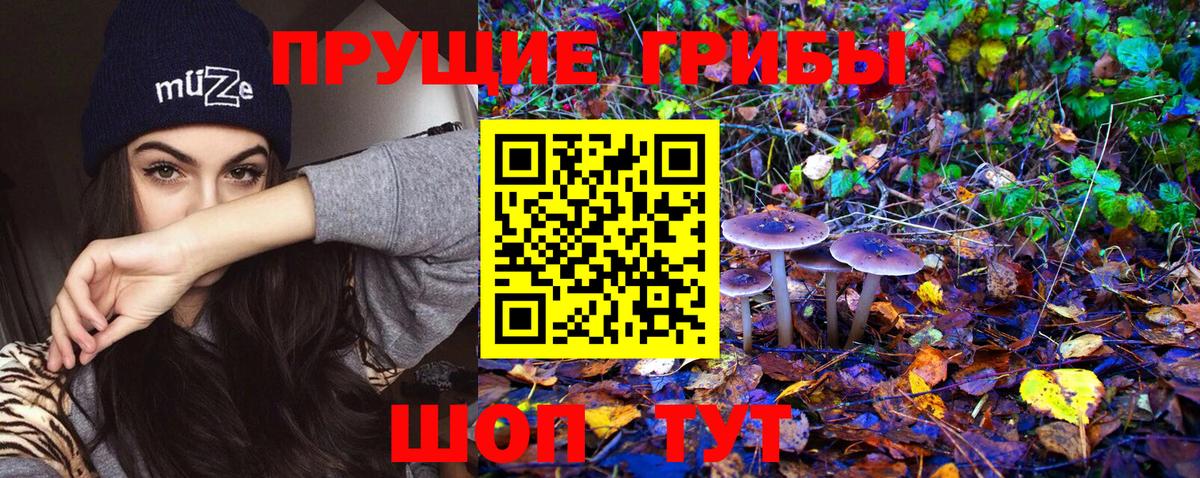 Псилоцибиновые грибы ЛСД  Вход с VPN  Галлюциногенные грибы Magic Shrooms  Чернушка 