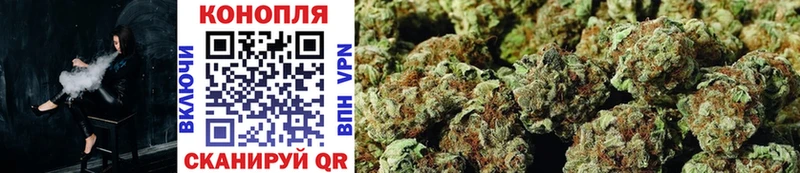 Бошки марихуана SATIVA & INDICA Чернушка